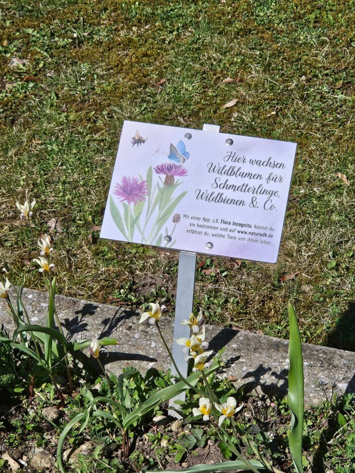 Wildpflanzen